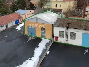 Pronájem komerční nemovitosti, Blovice, 790 m2
