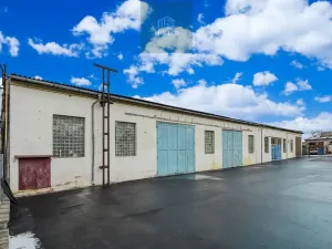 Pronájem komerční nemovitosti, Blovice, 790 m2