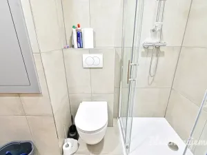 Pronájem bytu 1+1, Vyškov - Vyškov-Předměstí, Trpínky, 41 m2