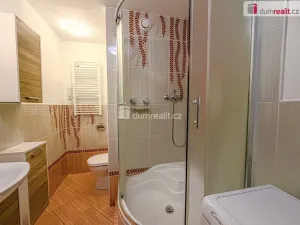 Prodej bytu 2+kk, Ústí nad Labem - Severní Terasa, Ježkova, 40 m2