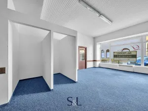 Prodej rodinného domu, Doksy, Komenského, 412 m2