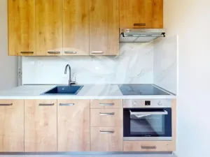 Pronájem bytu 2+1, Plzeň, Koterovská, 51 m2