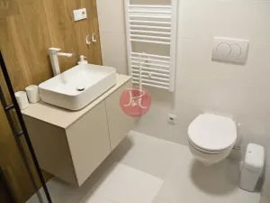 Pronájem bytu 2+kk, Soběšovice, 53 m2