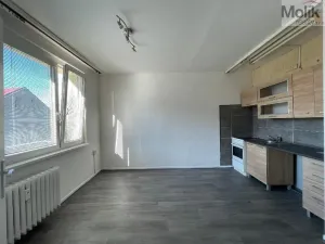 Pronájem bytu 1+1, Litvínov - Horní Litvínov, U Zámeckého parku, 35 m2