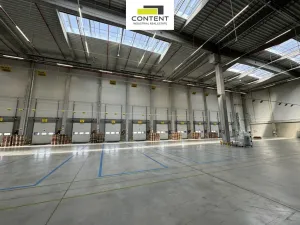 Pronájem skladu, Linhartice, 11000 m2