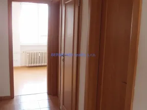 Prodej bytu 3+kk, Hradec Králové - Pražské Předměstí, Haškova, 58 m2