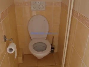 Prodej bytu 3+kk, Hradec Králové - Pražské Předměstí, Haškova, 58 m2