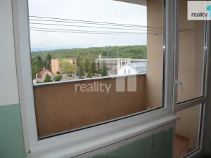 Pronájem bytu 1+kk, Nové Sedlo, Revoluční, 19 m2