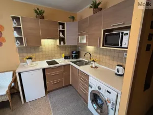 Pronájem bytu 1+1, Most, Marš. Rybalka, 35 m2
