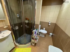 Pronájem bytu 1+1, Most, Marš. Rybalka, 35 m2