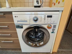 Pronájem bytu 1+1, Most, Marš. Rybalka, 35 m2