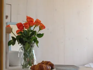 Prodej chaty, Uherský Brod, 40 m2