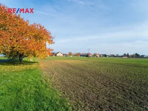 Prodej pozemku pro bydlení, Všechlapy, 9214 m2