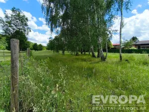 Prodej pozemku pro bydlení, Sázava, 3326 m2