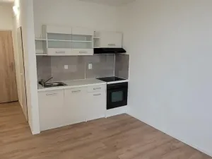 Pronájem bytu 1+kk, U Věžových domů 2933/8, 43401 Most, 25 m2