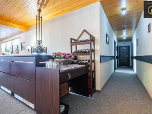 Prodej rodinného domu, Jáchymov, Klínovec, 870 m2