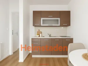 Pronájem bytu 1+kk, Český Těšín, Hornická, 28 m2