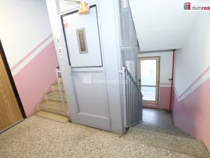 Pronájem bytu 1+1, Sokolov, Křížová, 41 m2