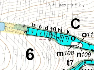 Dražba lesa, Hosty, 19 m2