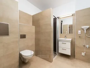 Prodej bytu 1+kk, České Budějovice - České Budějovice 3, Skuherského, 23 m2