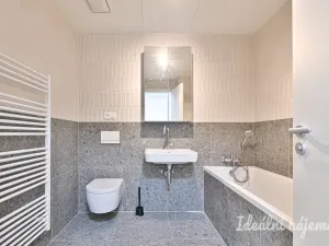 Pronájem bytu 1+kk, Brno, Bratislavská, 40 m2