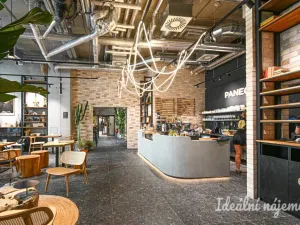 Pronájem bytu 1+kk, Brno, Bratislavská, 40 m2