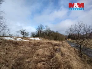 Prodej louky, Budišov nad Budišovkou, 6470 m2