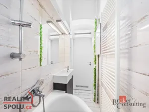 Prodej bytu 3+kk, Praha - Vinohrady, Bělehradská, 60 m2