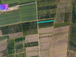 Prodej pole, Přibice, 9400 m2