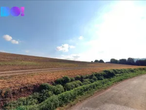 Prodej pole, Bezděčí u Trnávky - Unerázka, 13591 m2