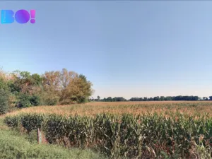 Prodej pole, Josefov, 9970 m2