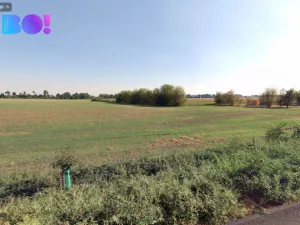 Prodej pole, Josefov, 9970 m2