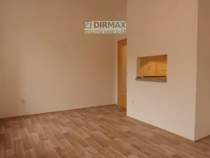 Pronájem bytu 1+kk, Plzeň, Pod Všemi svatými, 25 m2