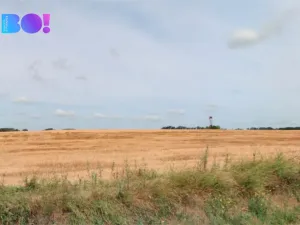 Prodej pole, Hevlín, 5248 m2