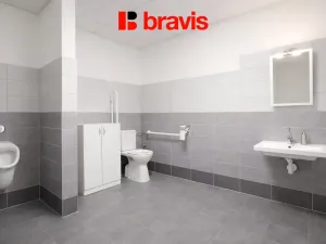 Pronájem obchodního prostoru, Kobylnice, U Řempa, 230 m2