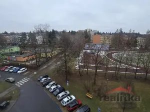 Pronájem bytu 1+kk, Opava - Předměstí, Haškova, 14 m2