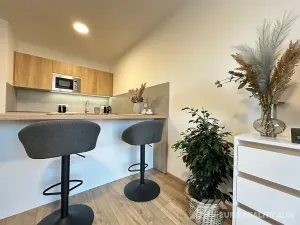 Pronájem bytu 1+kk, Zlín, Pod Hradem II, 27 m2