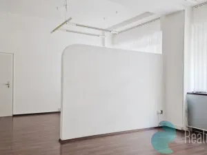 Pronájem kanceláře, Praha, Opletalova, 65 m2
