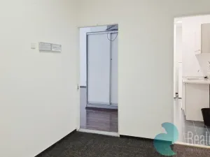 Pronájem kanceláře, Praha, Opletalova, 65 m2