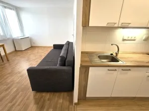 Pronájem bytu 1+kk, Praha, Běchorská, 33 m2