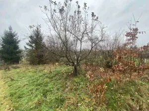 Prodej zahrady, Potěhy, 1589 m2