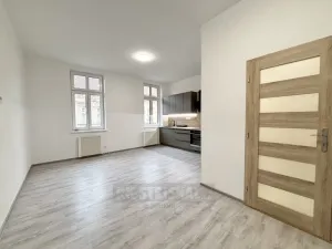Pronájem bytu 2+kk, České Budějovice - České Budějovice 3, Riegrova, 52 m2