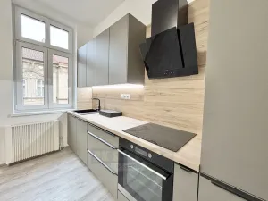 Pronájem bytu 2+kk, České Budějovice - České Budějovice 3, Riegrova, 52 m2