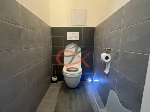 Pronájem bytu 2+kk, Šternberk, Světlov, 60 m2