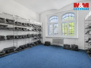 Prodej obchodního prostoru, Česká Kamenice, Lipová, 1225 m2