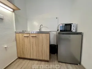 Pronájem bytu 1+kk, Brno, Životského, 24 m2