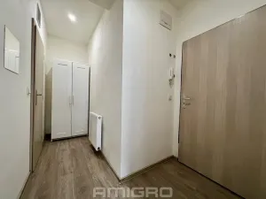 Pronájem bytu 1+kk, Brno, Životského, 24 m2