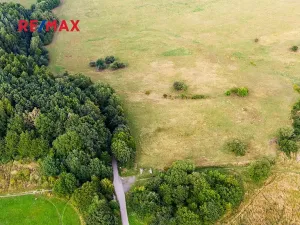 Prodej louky, Česká Lípa, 9571 m2