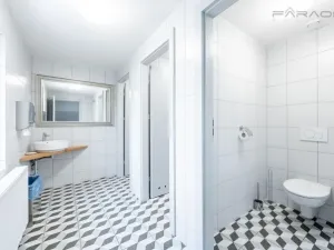 Pronájem skladu, Mladá Boleslav - Mladá Boleslav II, 450 m2