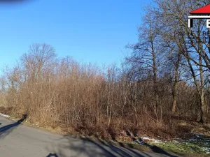 Prodej pozemku pro bydlení, Ostrava - Hrušov, 5802 m2